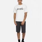 2025 summer new style with letter print on the chest, loose unisex cotton short sleeves