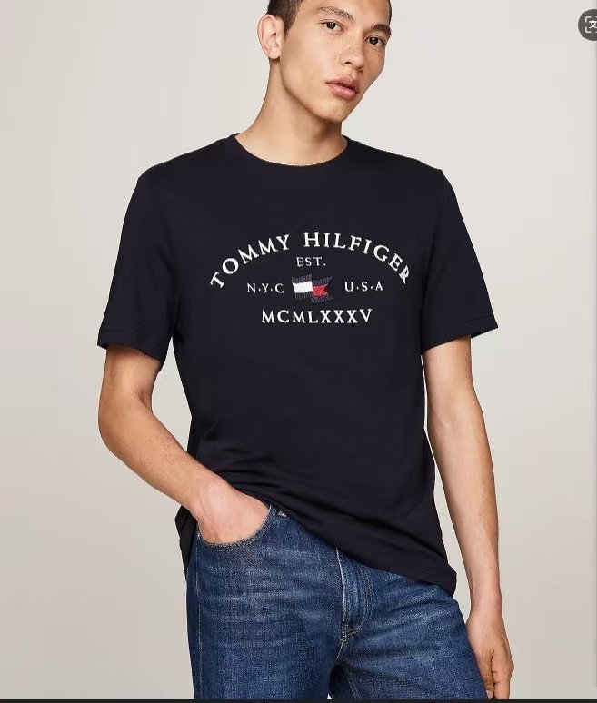 Embroidered Tommy Arch Logo T-Shirt